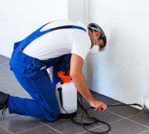 Cost-Affordable Pest Control Services For All Customers