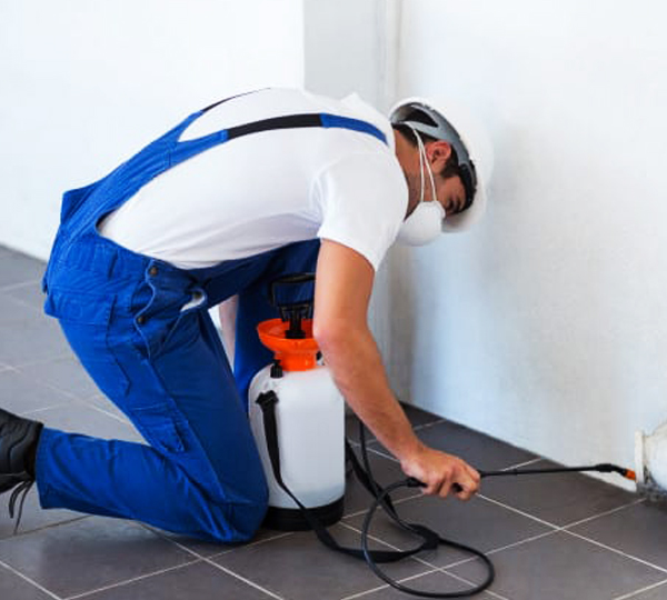 Cost-Affordable Pest Control Services For All Customers ...