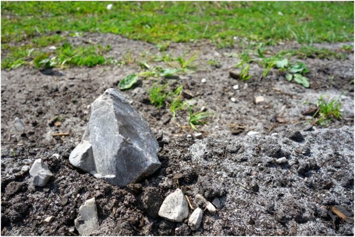 Growing Grass on a Rocky Soil