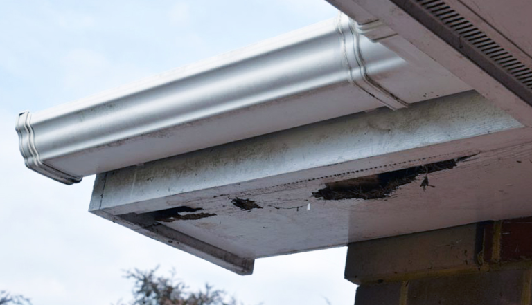 Signs That Your Gutter Needs to Be Repaired