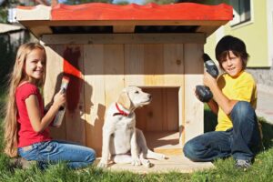 4 Plumbing Tips for Pet Owners