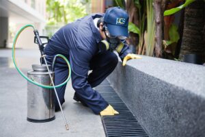 Four Good Reasons To Hire Professional Ant Control Services