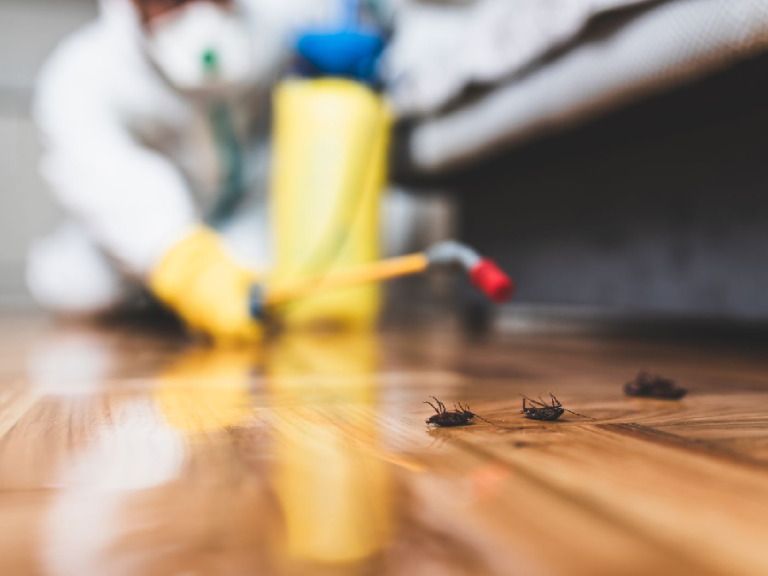 Few Tips for Deterring Pests from Damaging Your Home in Oklahoma