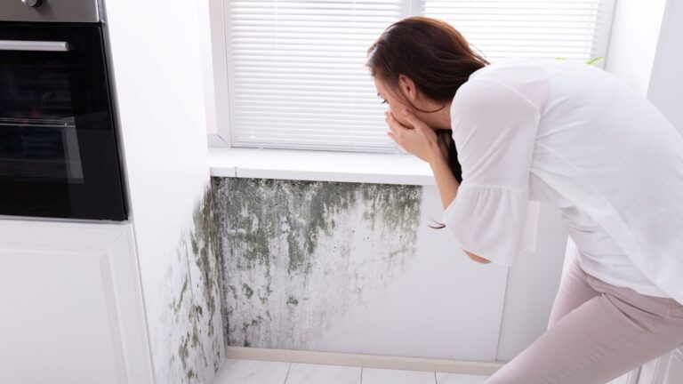 What is the best way to get rid of molds on walls?