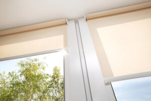 What Are Pros and Cons Of Installing Roller Shades