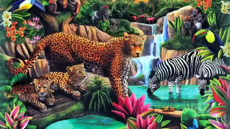 Bring the Beauty of Australia Indoors with a Stunning Animals Poster