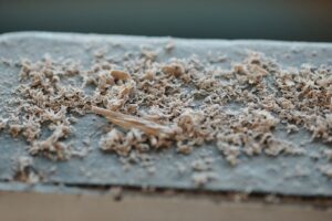 Basics of Asbestos Inspection Reports