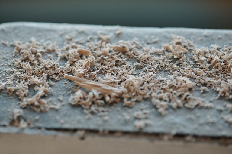 Basics of Asbestos Inspection Reports