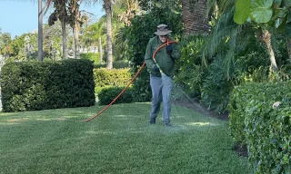 What Central Florida Homeowners Often Miss When Checking for Pest Activity