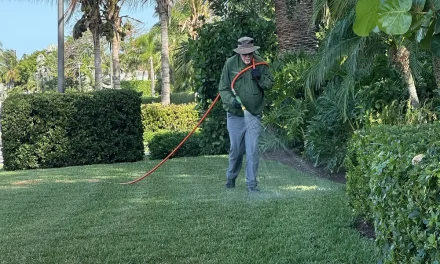 What Central Florida Homeowners Often Miss When Checking for Pest Activity