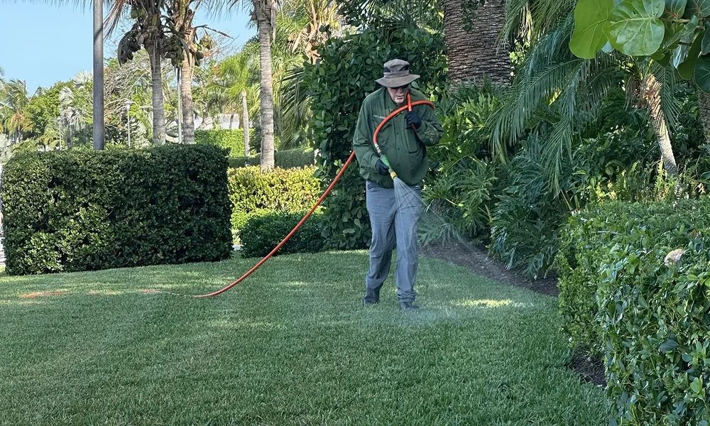 What Central Florida Homeowners Often Miss When Checking for Pest Activity