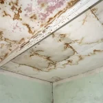 5 Hidden Structural Risks of Delaying Spalling Concrete Ceiling Repairs