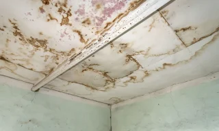 5 Hidden Structural Risks of Delaying Spalling Concrete Ceiling Repairs