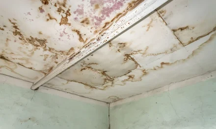 5 Hidden Structural Risks of Delaying Spalling Concrete Ceiling Repairs