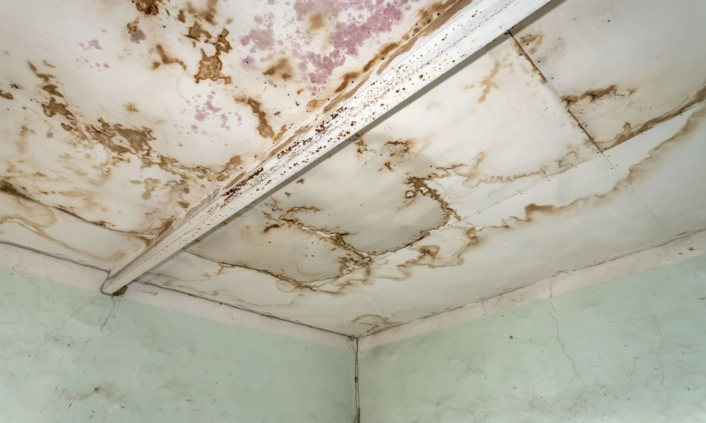 5 Hidden Structural Risks of Delaying Spalling Concrete Ceiling Repairs